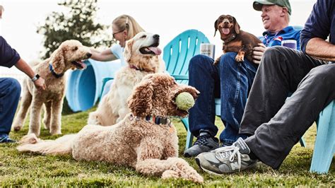 New Home Community Regency at Waterset in Apollo Beach, FL | Toll Brothers