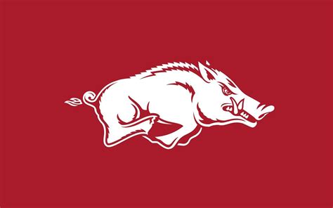 [100+] Arkansas Razorbacks Wallpapers | Wallpapers.com