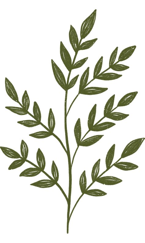 Aesthetic flower plant leaves 10869726 PNG