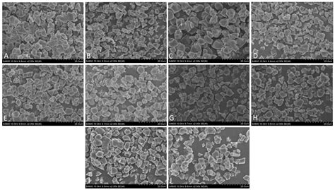 Investigating the Impact of Amylopectin Chain-Length Distribution on ...