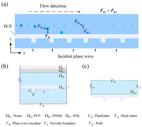 Micromachines | Special Issue : Microfluidics for Label-Free Particle ...