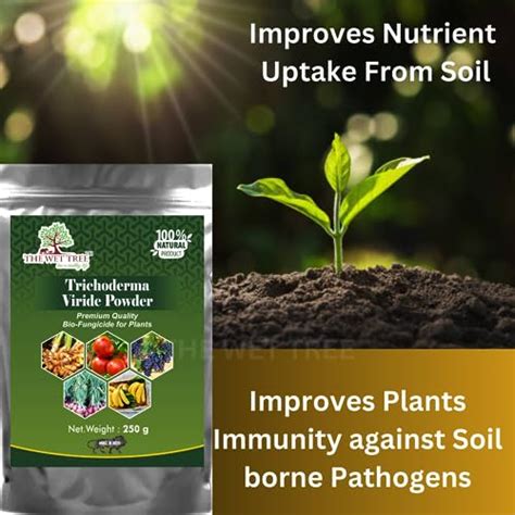 THE WET TREE Trichoderma Viride Powder | Bio Fungicide for Home Garden ...