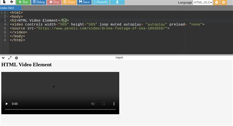 How to Add Samll Video in HTML 的图像结果