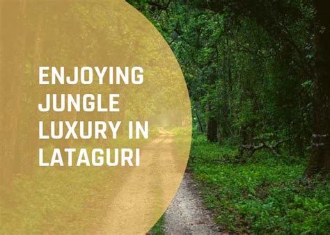 Visit Lataguri for Enjoying Jungle Luxury