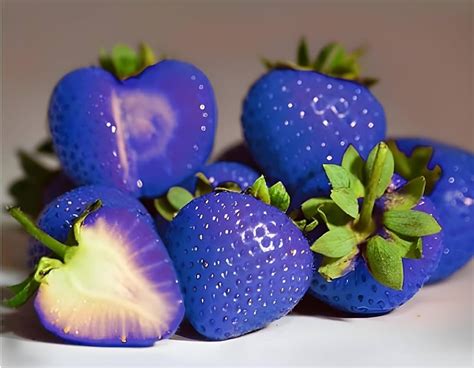 Blue Strawberry plant live (Pack of 2) : Amazon.in: Garden & Outdoors