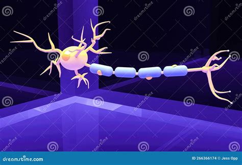 3d Representation of a Neuron and Its Parts: Dendrite, Nucleus, Soma ...