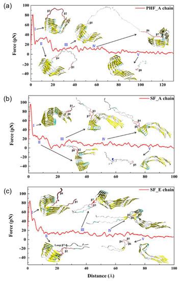 Membranes | Special Issue : Molecular Dynamics Simulations in ...