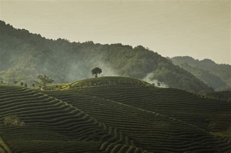 Carlo Scarpa Prize 2019 - Topos Magazine