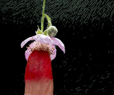 Week 44, Angelique Smit, – 3×50 project