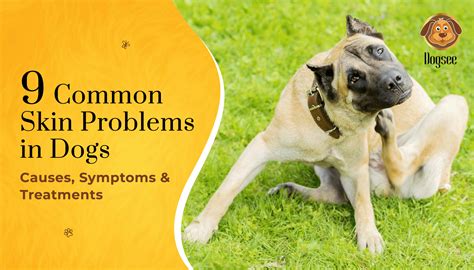 Worms In Dogs Skin Symptoms