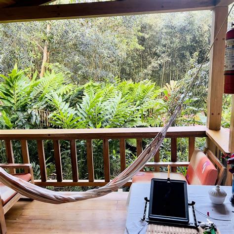 HOSTERÍA KUMBHA MELA (Mindo) - Hostel Reviews, Photos, Rate Comparison ...