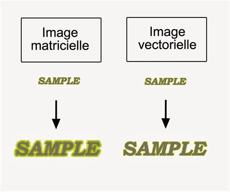 Image result for Vectoriser Une Forme