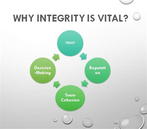 Integrity Examples 的图像结果