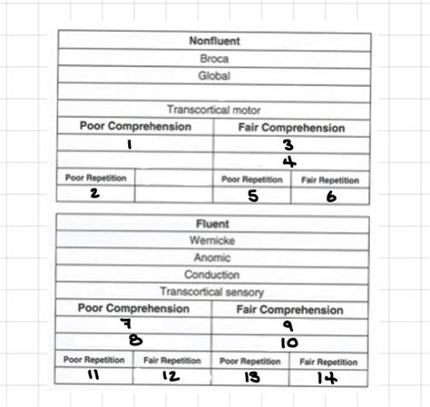 Image result for Aphasia Classification Chart