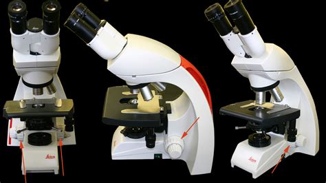 Image result for Course Focus Microscope Function