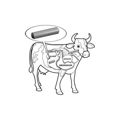 Cow Magnet – Permanent Magnets Ltd