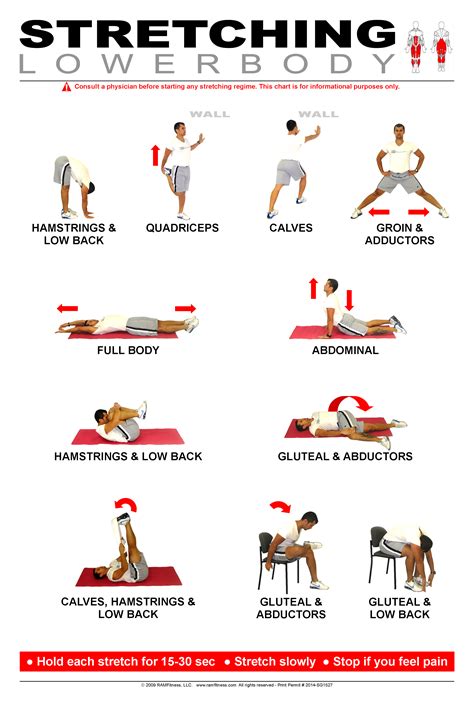 Lower Back Stretches Chart