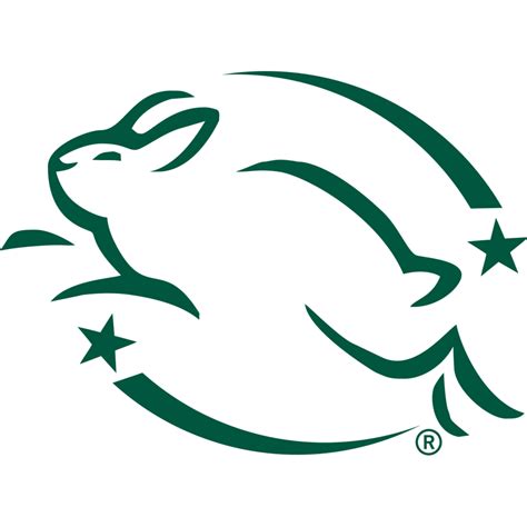 Chlorine Free Bleach - Free & Clear | Seventh Generation