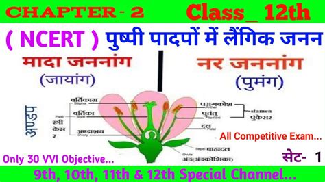 Image result for Class 12Bio Objective