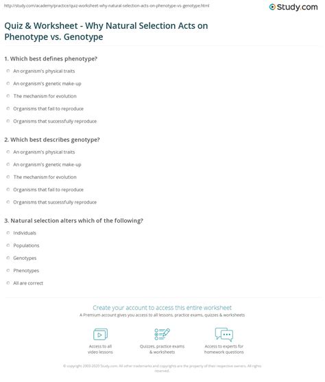 Quiz & Worksheet - Why Natural Selection Acts on Phenotype vs. Genotype ...