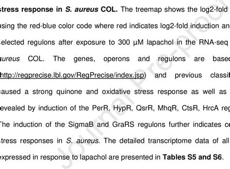 Transcriptome TreeMap 的图像结果