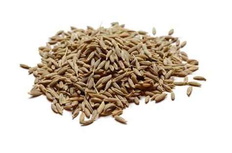 Cumin Seed - High Plains Spice Company