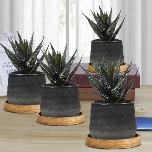 Lasaki PL99 Grey Ceramic Pot with Wooden Plate (WP5) for Indoor Plants ...