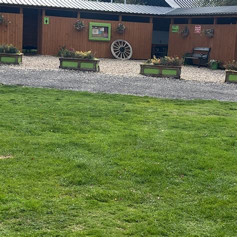 LUCKFORD WOOD CARAVAN AND CAMPING PARK (East Stoke) - Campground ...