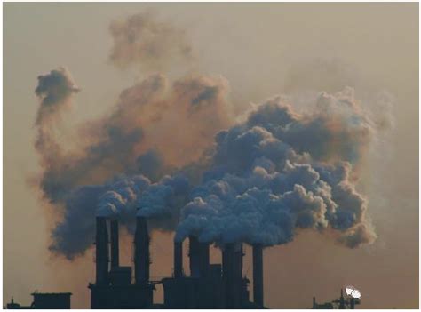 国外研究称大气污染可改善气候变暖现状-文章-环境生态网