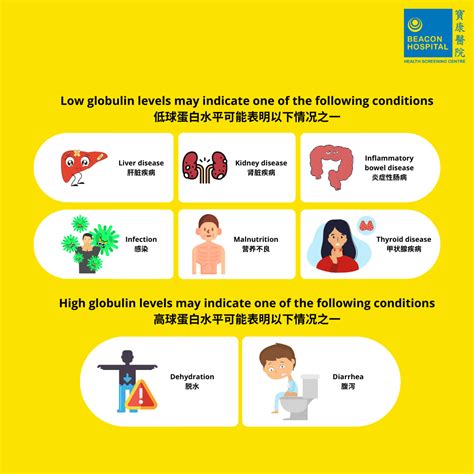 Image result for Liver Function Test Diagram