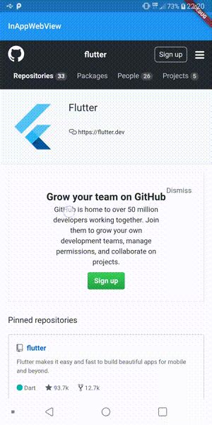 Image result for Add Inappwebview to Flutter