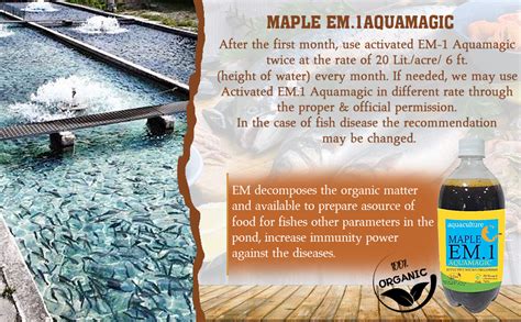 Maple EM.1 Aquamagic-One LTR : Amazon.in: Home & Kitchen