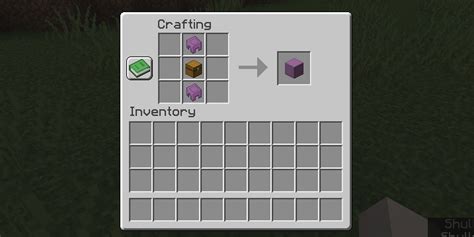 Image result for Minecraft Shulker Box Tutorial