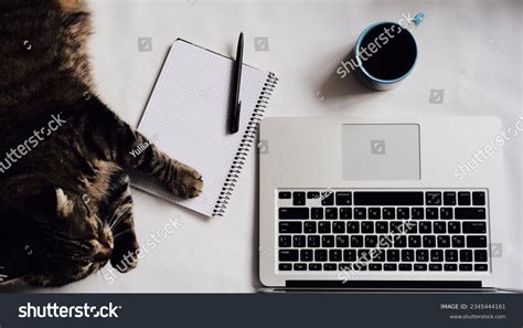 Computer Log Out Simulation 的图像结果