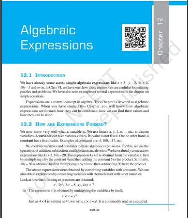 Image result for Class 7 Maths Chapter Algebraic Expression Explanation
