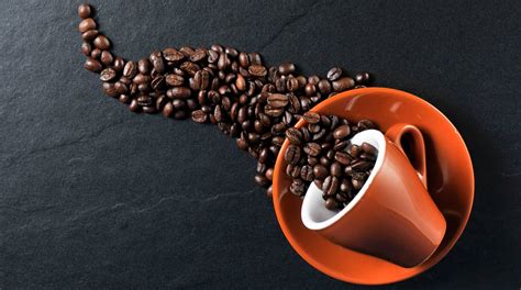 Image result for Java Rating