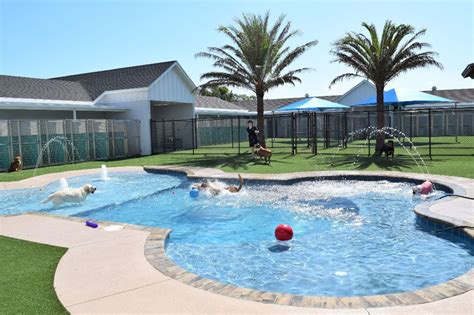 Pet Paradise Resort Office Photos | Glassdoor