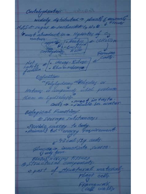 Biochemistry MindMap 的图像结果