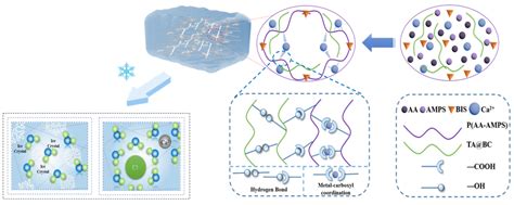 High Multi-Environmental Mechanical Stability and Adhesive Transparent ...