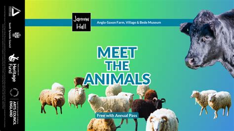Meet the Animals - Jarrow Hall