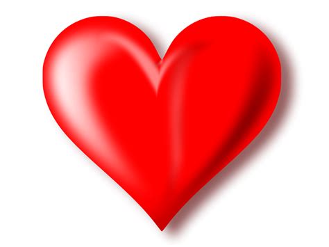 Image result for Heart Disease Prediction Using Machine Learning with Python