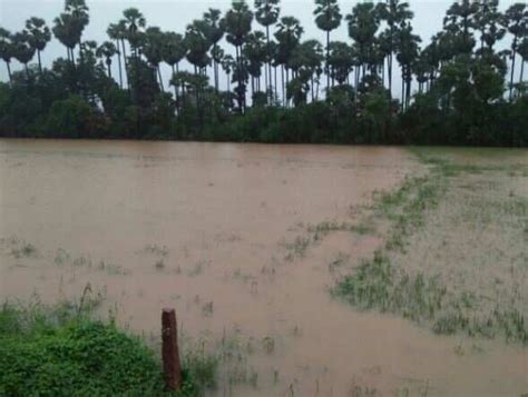 Chennai Weather Live Updates: Cyclone Ockhi claims four lives, upends ...