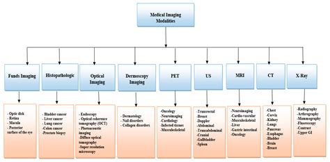 Critical Analysis of the Current Medical Image-Based Processing ...