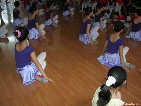 2015年北京舞蹈学院芭蕾舞考级师资培训班1-4级开班通知 - 教学活动 - 网站