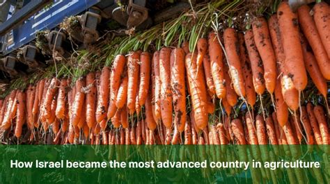 Israel Modern Technology 的图像结果