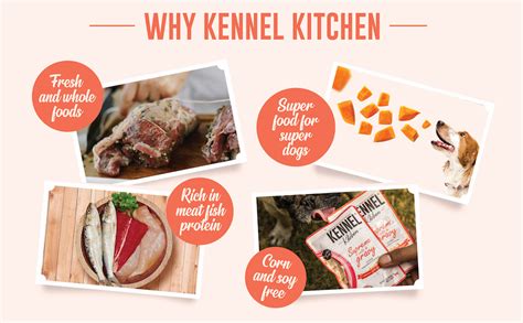 Kennel Kitchen Supreme Cuts in Gravy, Variety Pack, 100g (Pack of 12 ...