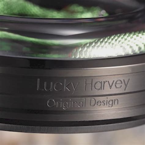 Lucky Harvey | Snake Automatic Watch | Bold fashion statement for ...