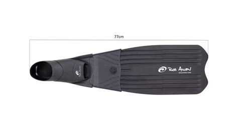 Image result for Steve Allen FSU Long Snapper