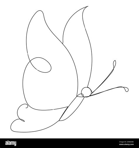 Butterfly Drawing Outline