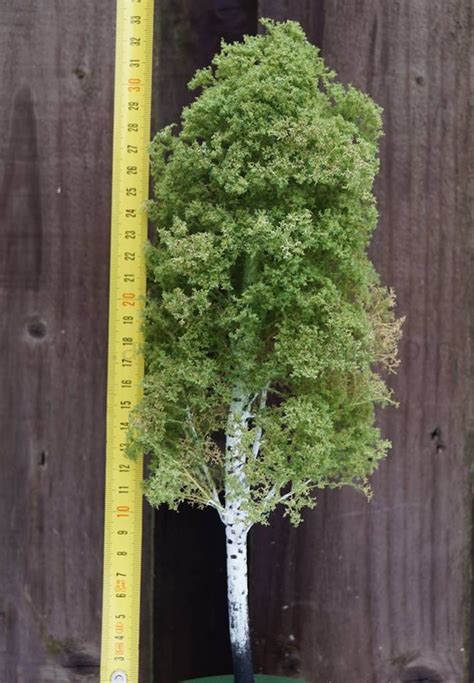 Image result for Building Model Trees